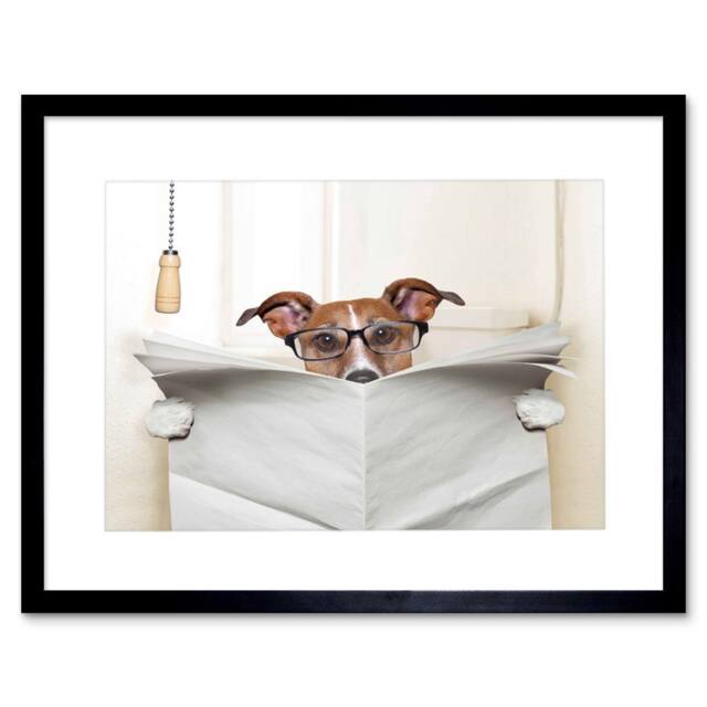"Artery8 Photo Jack Russell Toilet Reading Newspaper 12x16"" Framed Art Print in White - Size: W12"" x H16""" - image 1