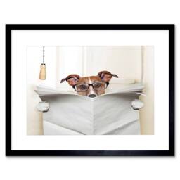 "Artery8 Photo Jack Russell Toilet Reading Newspaper 12x16"" Framed Art Print in White - Size: W12"" x H16""" - thumbnail 1