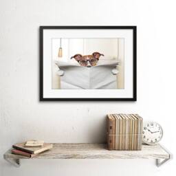 "Artery8 Photo Jack Russell Toilet Reading Newspaper 12x16"" Framed Art Print in White - Size: W12"" x H16""" - thumbnail 2