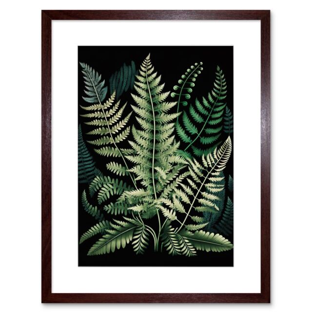 "Artery8 Wall Art Print Different Fern Fronds Detailed Leaves Artwork Framed 9X7 Inch in Brown - Size: W7"" x H9""" - image 1