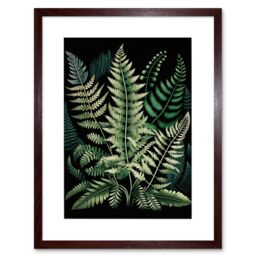 "Artery8 Wall Art Print Different Fern Fronds Detailed Leaves Artwork Framed 9X7 Inch in Brown - Size: W7"" x H9""" - thumbnail 1
