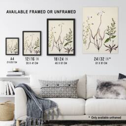 Artery8 New Zealand Drosera Arcturi Plant Flowers Featon Framed Wall Art Print in Beige - Size: A4 - thumbnail 3