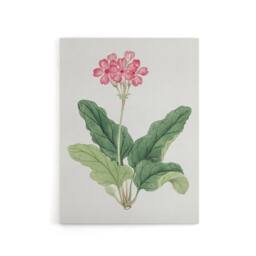 "Artery8 Sakura Flower Canvas Wall Art Print Vintage Japanese Botanical in Pink - Size: W18"" x H24""" - thumbnail 1