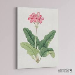"Artery8 Sakura Flower Canvas Wall Art Print Vintage Japanese Botanical in Pink - Size: W18"" x H24""" - thumbnail 2