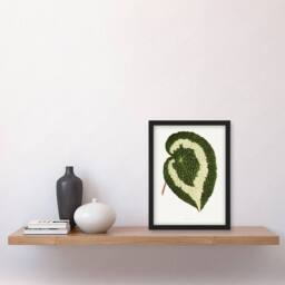 Artery8 AF Lydon Benjamin Fawcett Begonia Red Leaf Framed Wall Art Print in White - Size: A4 - thumbnail 4