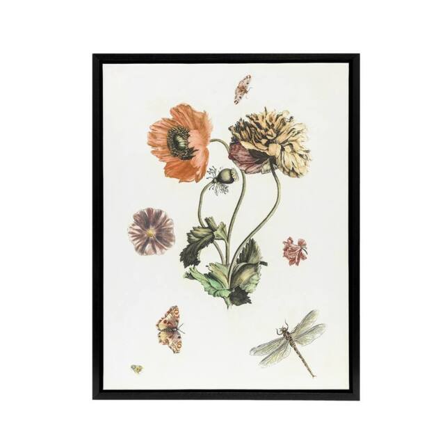 "Artery8 Poppies Butterflies & Dragonfly Teyler Black Framed Canvas Wall Art in White - Size: W12"" x H16""" - image 1