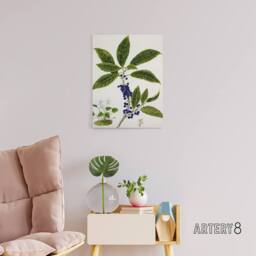 "Artery8 New Zealand Mahoe Whiteywood Plant Featon Canvas Wall Art Print in Beige - Size: W12"" x H16""" - thumbnail 3
