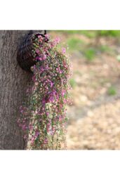 Living and Home Artificial Hanging Plants Decoration in Fuchsia - thumbnail 3