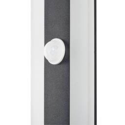 Wyld and Coco Outdoor LED Wall Light 30cm Black Steel with Motion Sensor - thumbnail 5