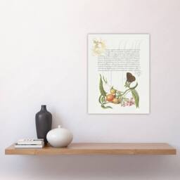 "Artery8 Butterfly Cherries & Milkwort Calligraphy Wall Art Poster Print in White - Size: W24"" x H32""" - thumbnail 4