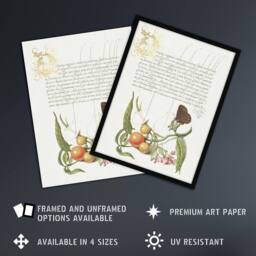 "Artery8 Butterfly Cherries & Milkwort Calligraphy Wall Art Poster Print in White - Size: W24"" x H32""" - thumbnail 2