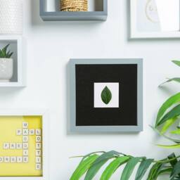 "Nicola Spring 3D Box Photo Frames with 2"" x 2"" Mounts - 6"" x 6"" - Grey - Pack of 5 in Black" - thumbnail 5