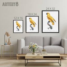 "Artery8 Lutino Senegal Parrot Francois Levaillant Framed Canvas Wall Art Print in White - Size: W12"" x H16""" - thumbnail 4