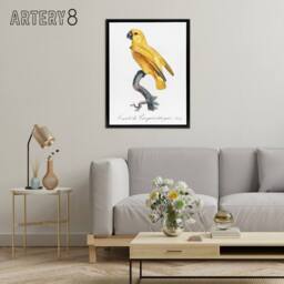 "Artery8 Lutino Senegal Parrot Francois Levaillant Framed Canvas Wall Art Print in White - Size: W12"" x H16""" - thumbnail 3