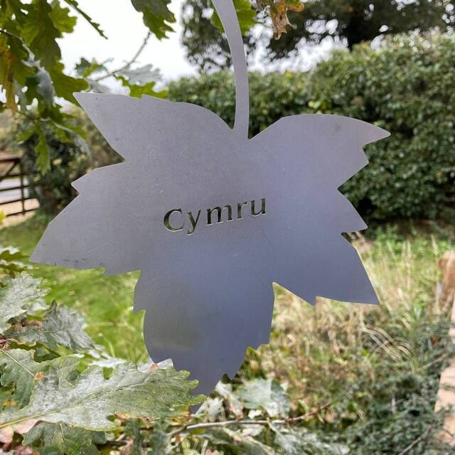 Poppyforge Falling Leaves - Bare Metal/Ready to Rust - W20 x H25 cm - Cymru in Grey - image 1