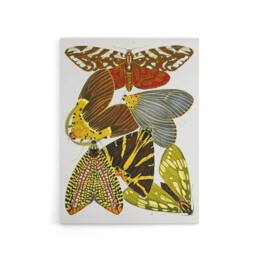 "Artery8 Vintage Butterfly Illustration Canvas Wall Art Print Eugene Seguy - Size: W18"" x H24""" - thumbnail 1