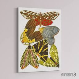 "Artery8 Vintage Butterfly Illustration Canvas Wall Art Print Eugene Seguy - Size: W18"" x H24""" - thumbnail 2