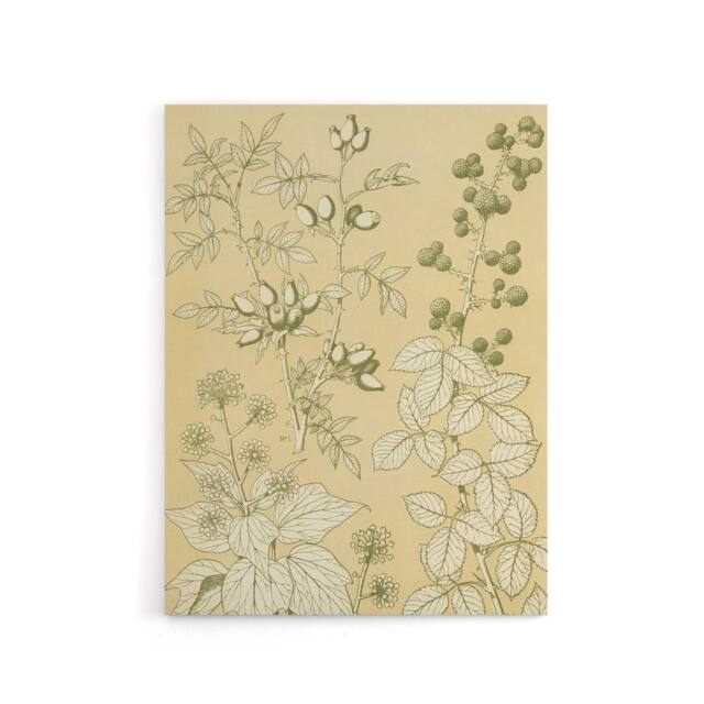 "Artery8 Wild Rose Ivy Blackberry Botanical Jones Vintage Canvas Wall Art in Beige - Size: W24"" x H32""" - image 1