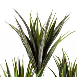 Leaf Artificial Tropical Yucca Tree with 179 Leaves UV PROTECTED OUTDOOR Botanik in Green - thumbnail 2