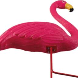 St Helens Garden Flamingo Ornament, Single in Pink - thumbnail 2