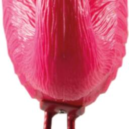 St Helens Garden Flamingo Ornament, Single in Pink - thumbnail 4