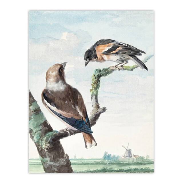 "Artery8 Two Hawfinch Birds in Rural Landscape Schouman Wall Art Poster Print in Blue - Size: W24"" x H32""" - image 1