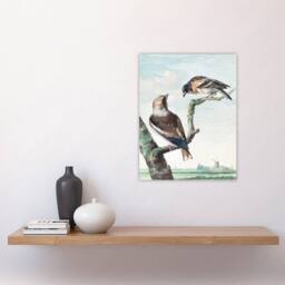 "Artery8 Two Hawfinch Birds in Rural Landscape Schouman Wall Art Poster Print in Blue - Size: W24"" x H32""" - thumbnail 4