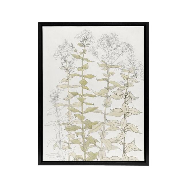 "Artery8 Phlox Colour Sketch of Flowers Framed Canvas Wall Art Print Julie Graag in White - Size: W12"" x H16""" - image 1