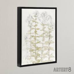 "Artery8 Phlox Colour Sketch of Flowers Framed Canvas Wall Art Print Julie Graag in White - Size: W12"" x H16""" - thumbnail 2