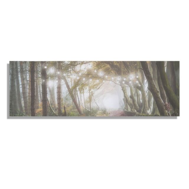 Art for the Home Woodland Wander LED Printed Canvas in White - image 1