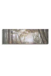 Art for the Home Woodland Wander LED Printed Canvas in White - thumbnail 2