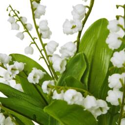 Sostter White Faux Lily of the Valley Flower Bouquet in Soft White - thumbnail 2