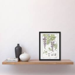 Artery8 Wisteria Flower Vintage Floral Framed Wall Art Print Verneuil in White - Size: A4 - thumbnail 4