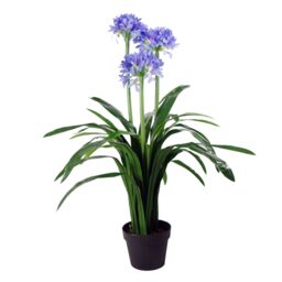 Leaf 90cm Blue Flower Artificial Blossom Plant Agapanthus with pot - thumbnail 1