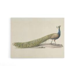 "Artery8 Pieter Pietersz Barbiers Blue Peacock Canvas Wall Art Print in Beige - Size: W18"" x H24""" - thumbnail 1