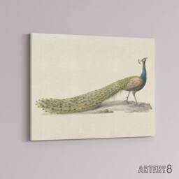 "Artery8 Pieter Pietersz Barbiers Blue Peacock Canvas Wall Art Print in Beige - Size: W18"" x H24""" - thumbnail 2