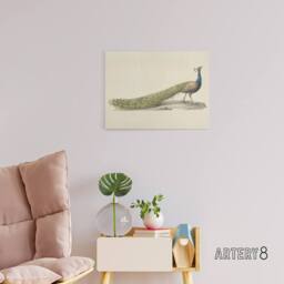 "Artery8 Pieter Pietersz Barbiers Blue Peacock Canvas Wall Art Print in Beige - Size: W18"" x H24""" - thumbnail 3