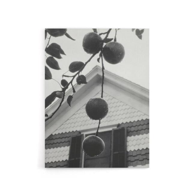 "Artery8 Gable & Apples Photograph Alfred Stieglitz Canvas Wall Art Print in Grey - Size: W12"" x H16""" - image 1