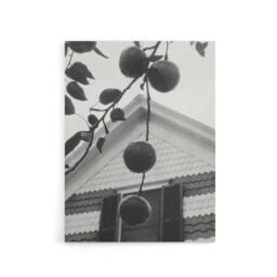 "Artery8 Gable & Apples Photograph Alfred Stieglitz Canvas Wall Art Print in Grey - Size: W12"" x H16""" - thumbnail 1