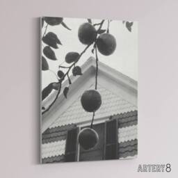 "Artery8 Gable & Apples Photograph Alfred Stieglitz Canvas Wall Art Print in Grey - Size: W12"" x H16""" - thumbnail 2
