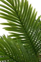 Garden Sanctuary 120cm Garden Artificial Palm Tree Potted for Home Decor in Green - thumbnail 3