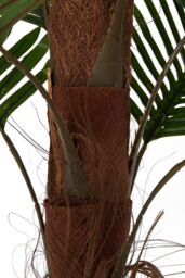 Garden Sanctuary 120cm Garden Artificial Palm Tree Potted for Home Decor in Green - thumbnail 5