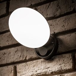 CGC Lighting Ezra Slim Round Black LED Outdoor Wall Light 10W 1000lm 4000k Natural White LED