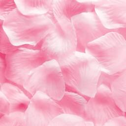 Shatchi 5000pcs Light Pink Silk Rose Petals Wedding Mothers Day Wedding Confetti Anniversary Table Decorations - thumbnail 3
