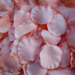 Shatchi 5000pcs Light Pink Silk Rose Petals Wedding Mothers Day Wedding Confetti Anniversary Table Decorations - thumbnail 5