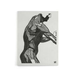 "Artery8 Anatomical study of mans lateral muscles Stolk Canvas Wall Art Print in White - Size: W12"" x H16""" - thumbnail 1