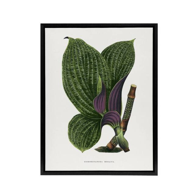 "Artery8 Lydon & Fawcett Green Dichorisandra Mosaica Leaves Framed Canvas Art in White - Size: W12"" x H16""" - image 1