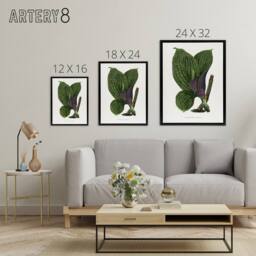 "Artery8 Lydon & Fawcett Green Dichorisandra Mosaica Leaves Framed Canvas Art in White - Size: W12"" x H16""" - thumbnail 4