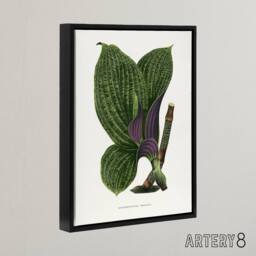 "Artery8 Lydon & Fawcett Green Dichorisandra Mosaica Leaves Framed Canvas Art in White - Size: W12"" x H16""" - thumbnail 2