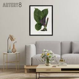 "Artery8 Lydon & Fawcett Green Dichorisandra Mosaica Leaves Framed Canvas Art in White - Size: W12"" x H16""" - thumbnail 3